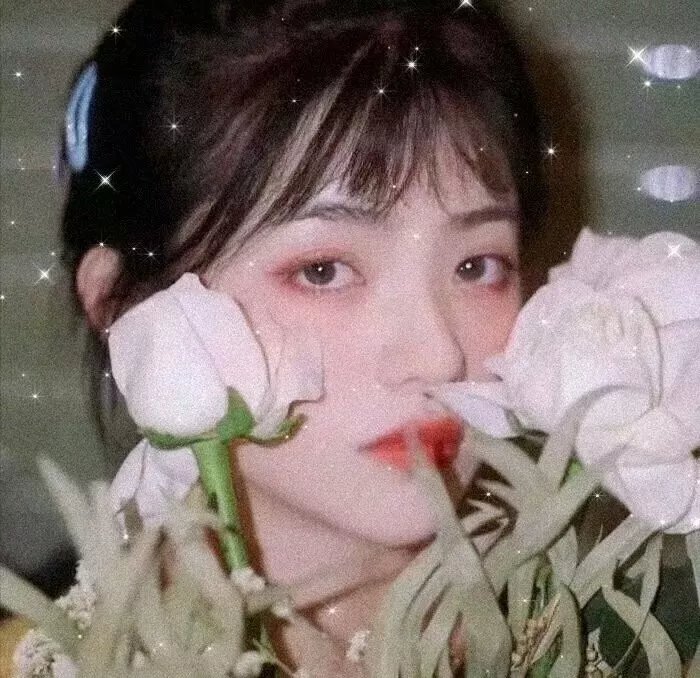 泳舞姐妹